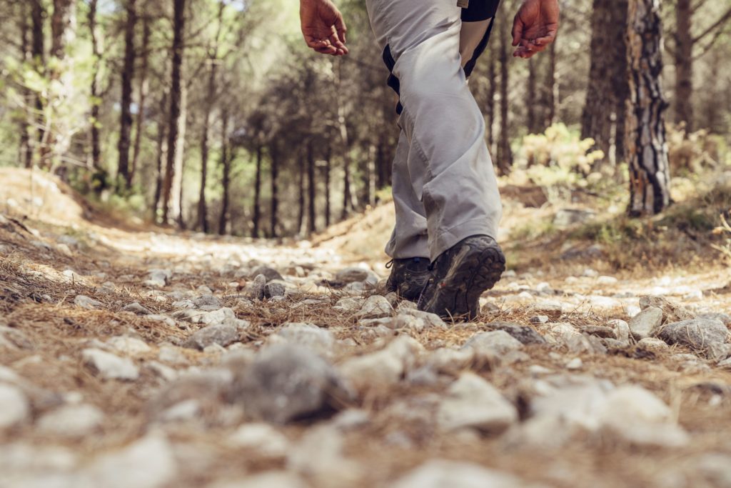 Un professionnel en randonnée dans les bois, dans le cadre d’un programme de formation alliant marche et développement personnel